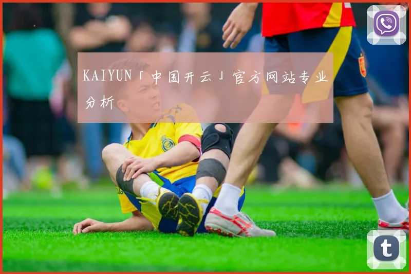 KAIYUN「中国开云」官方网站专业分析