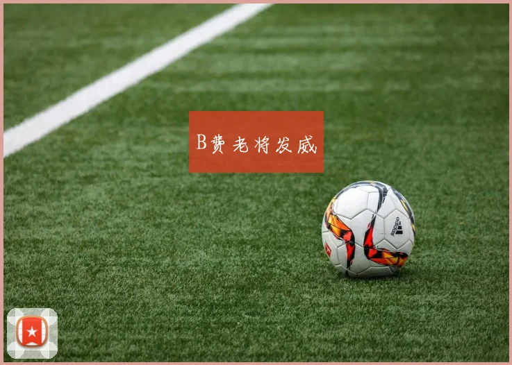 B费老将发威