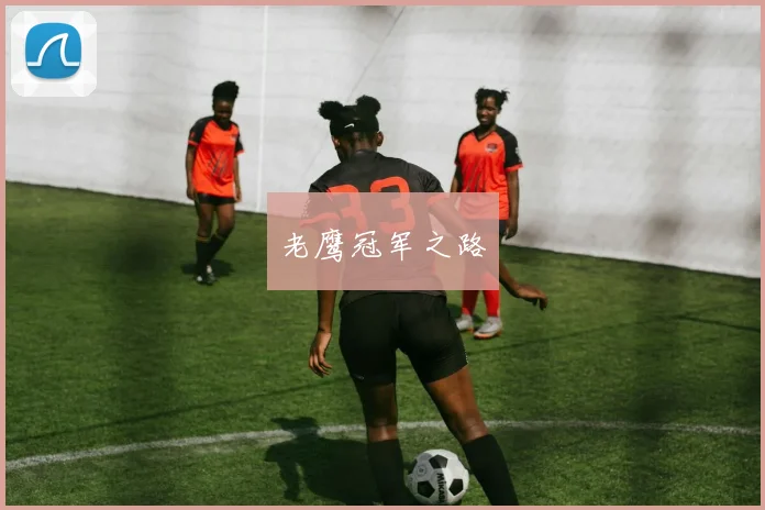 老鹰冠军之路