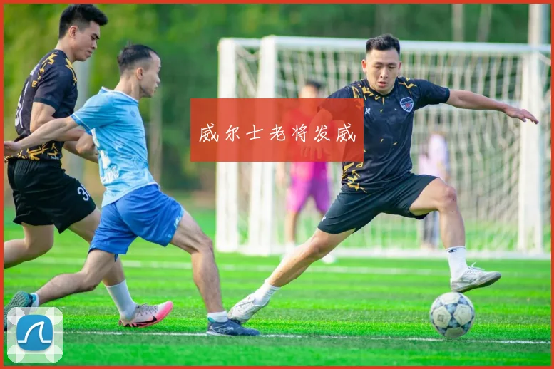 威尔士老将发威