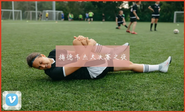 梅德韦杰夫决赛之夜