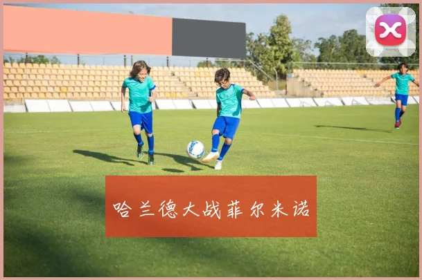 哈兰德大战菲尔米诺