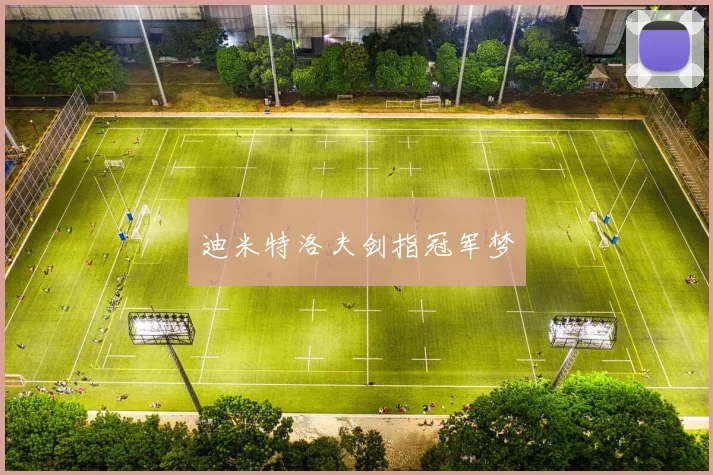迪米特洛夫剑指冠军梦