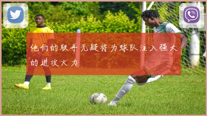 他们的联手无疑将为球队注入强大的进攻火力