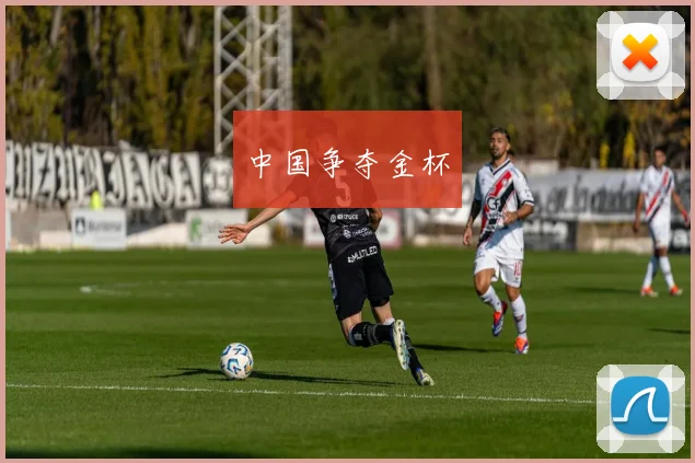 中国争夺金杯