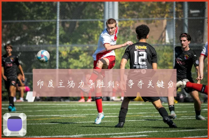 印度主场力争胜利，争夺关键分