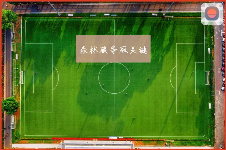 森林狼争冠关键