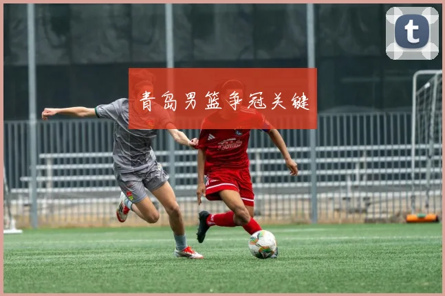 青岛男篮争冠关键
