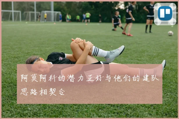 阿莫阿科的潜力正好与他们的建队思路相契合