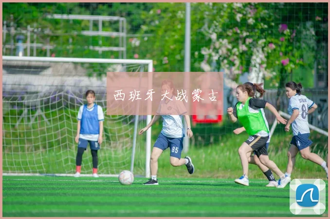 西班牙大战蒙古