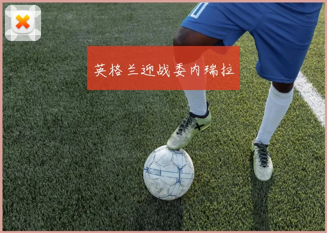 英格兰迎战委内瑞拉