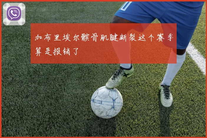 加布里埃尔髌骨肌腱断裂这个赛季算是报销了