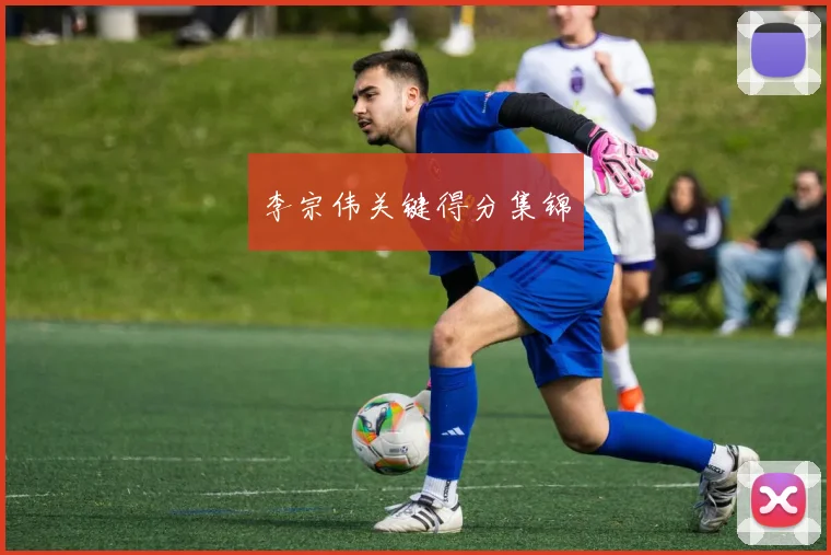 李宗伟关键得分集锦