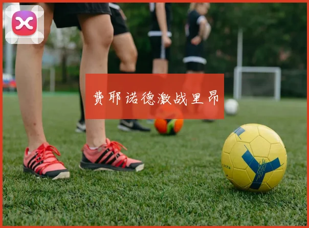 费耶诺德激战里昂