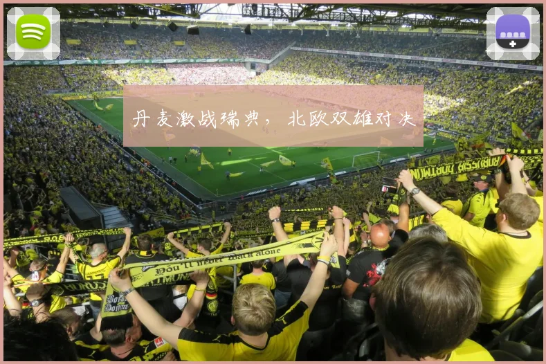 丹麦激战瑞典，北欧双雄对决