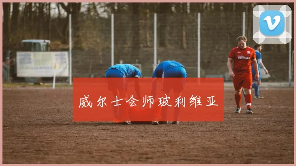 威尔士会师玻利维亚