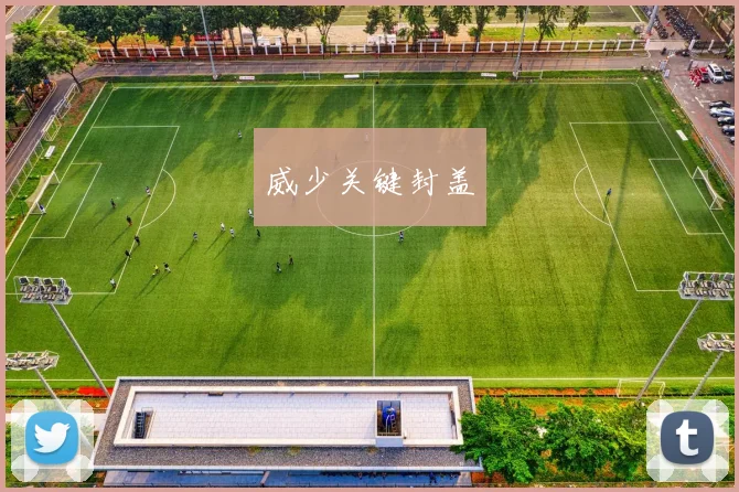 威少关键封盖