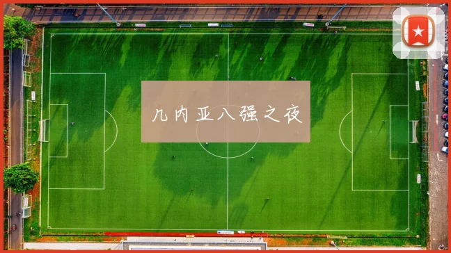 几内亚八强之夜