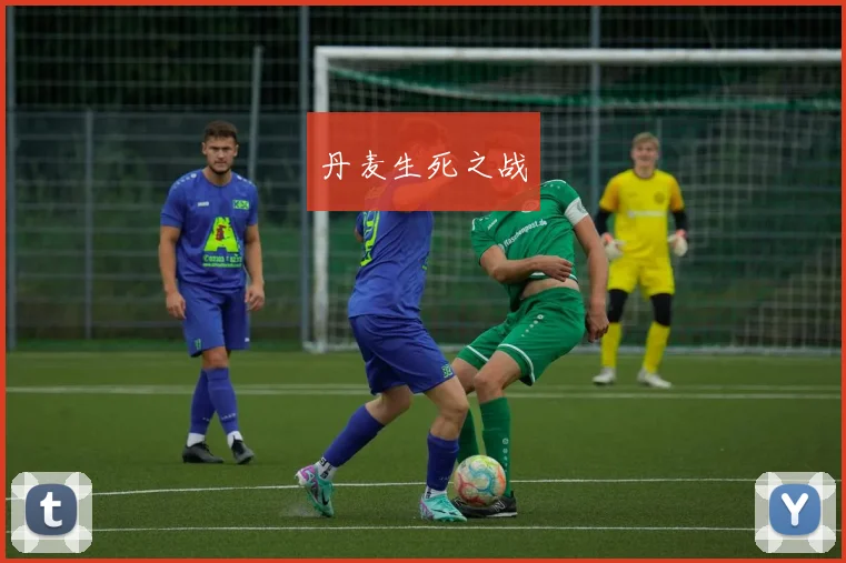 丹麦生死之战