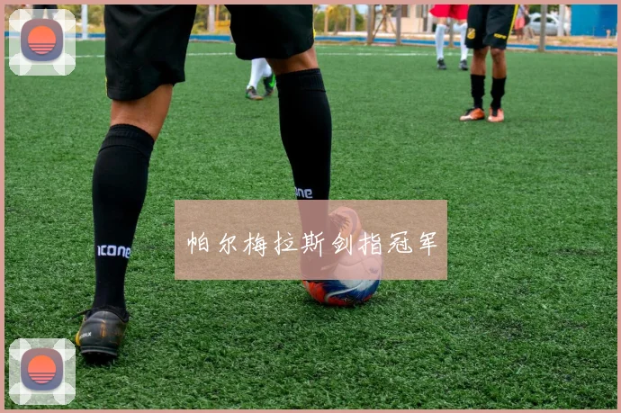 帕尔梅拉斯剑指冠军