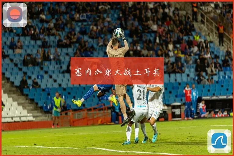 塞内加尔大战土耳其