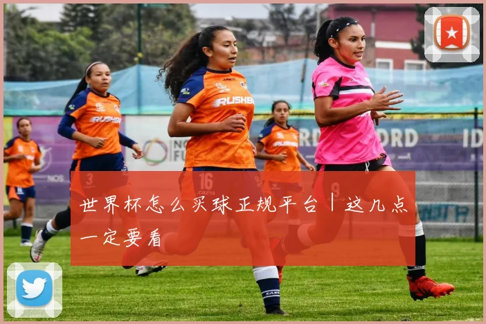 世界杯怎么买球正规平台｜这几点一定要看