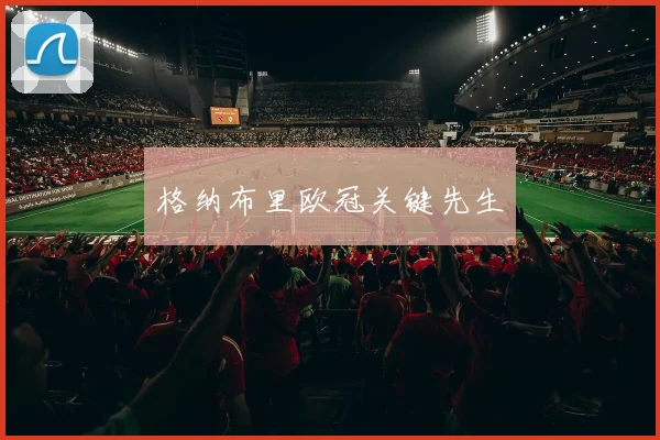 格纳布里欧冠关键先生