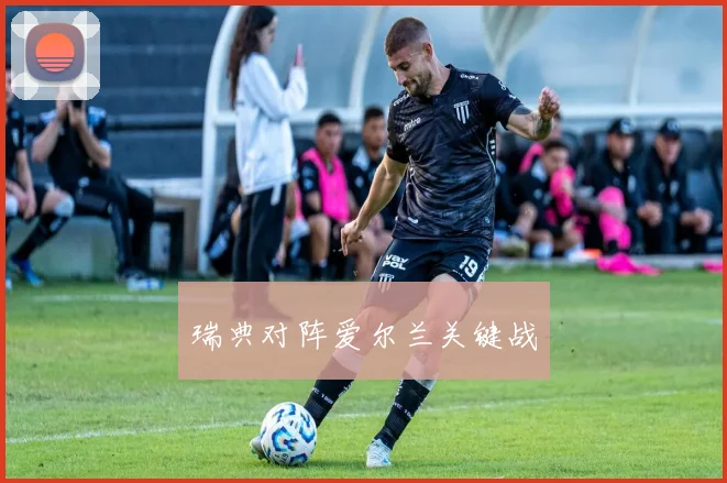 瑞典对阵爱尔兰关键战