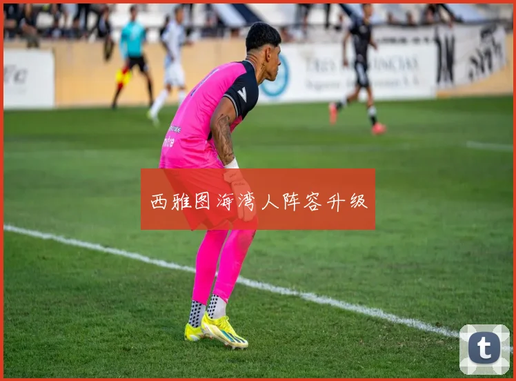 西雅图海湾人阵容升级