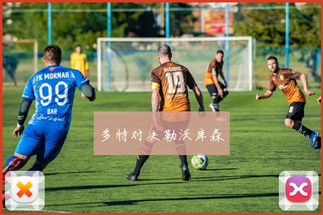 多特对决勒沃库森