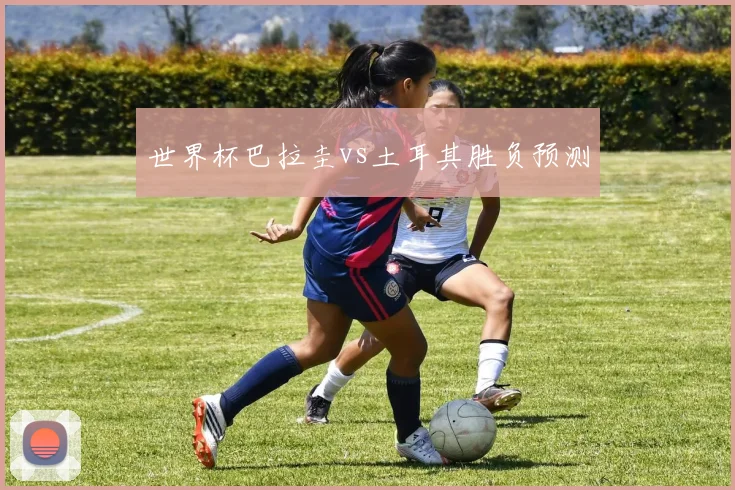 世界杯巴拉圭vs土耳其胜负预测