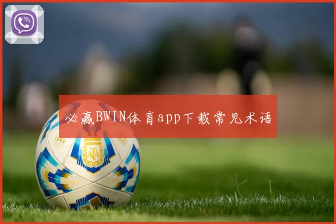必赢BWIN体育app下载常见术语