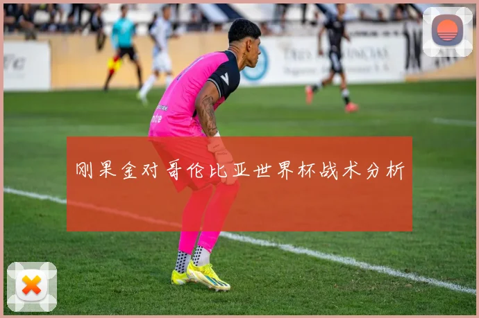 刚果金对哥伦比亚世界杯战术分析